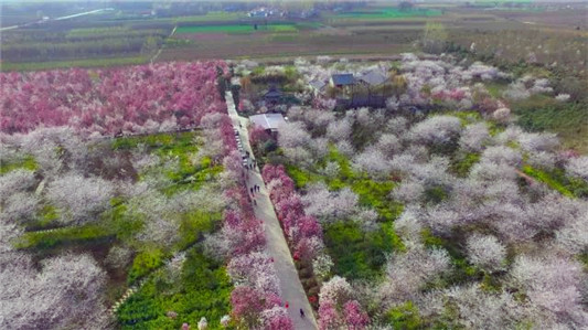 華全牌120kw玉柴系列發電機組在河南許昌賞花